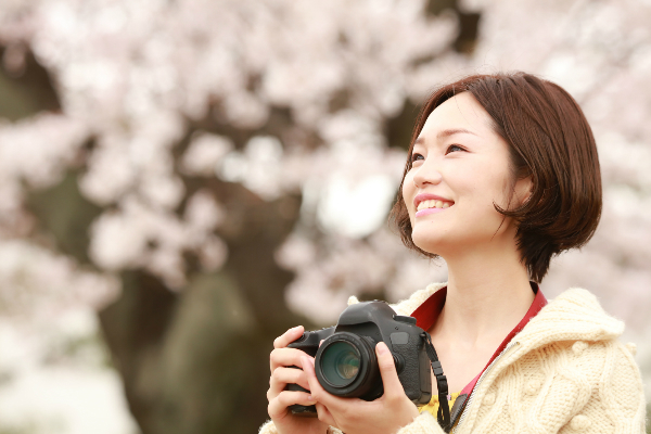 My Spring