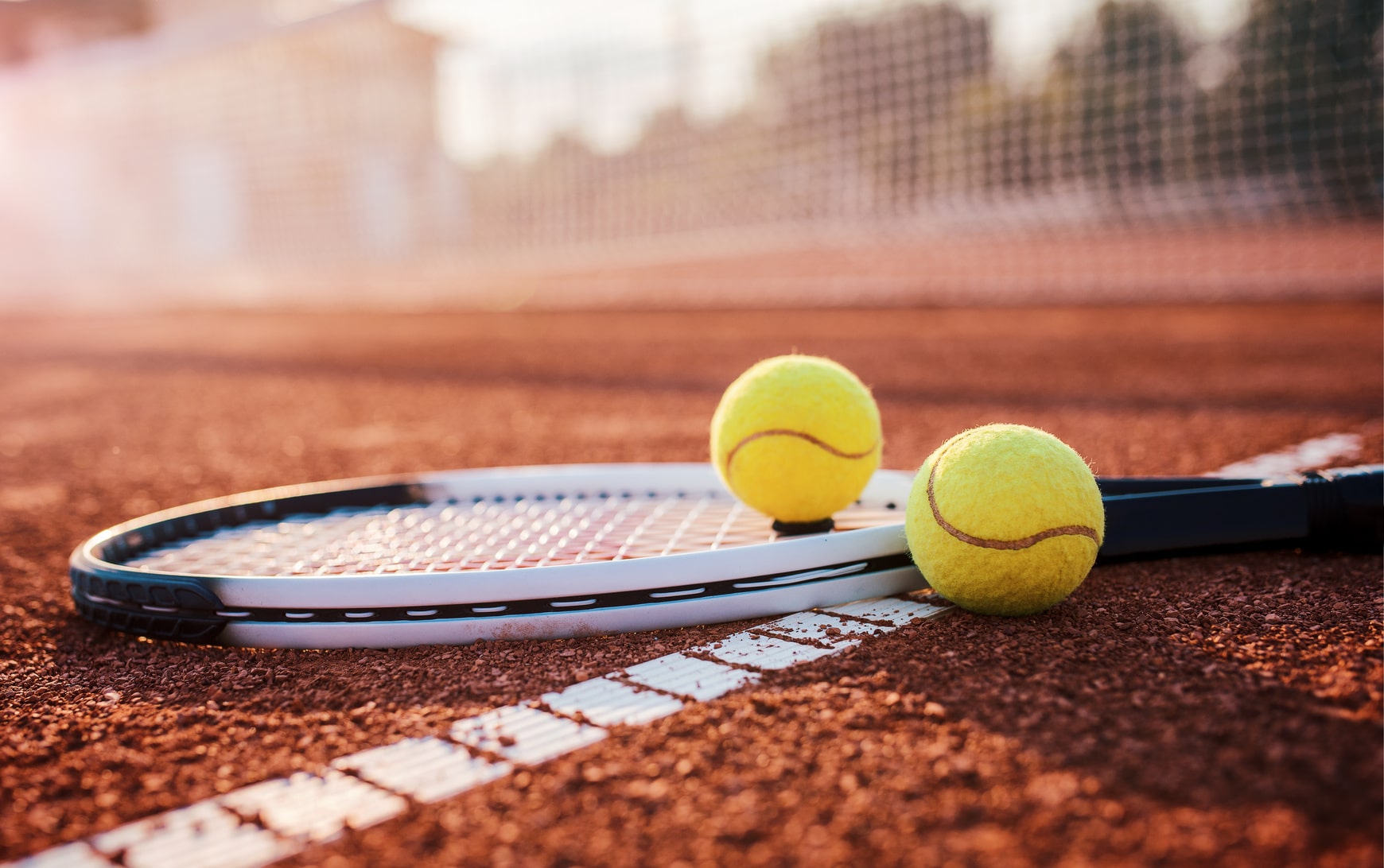 tennis ball: Tennis balls may take 400 years to decompose;  Environmentalists, game's governing body clueless - The Economic Times